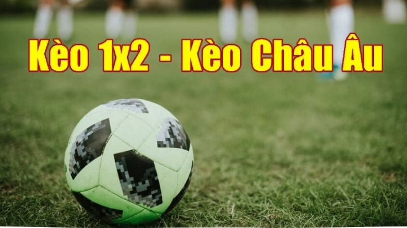 Không đặt cược theo xu hướng chung, phương pháp đánh kèo châu âu