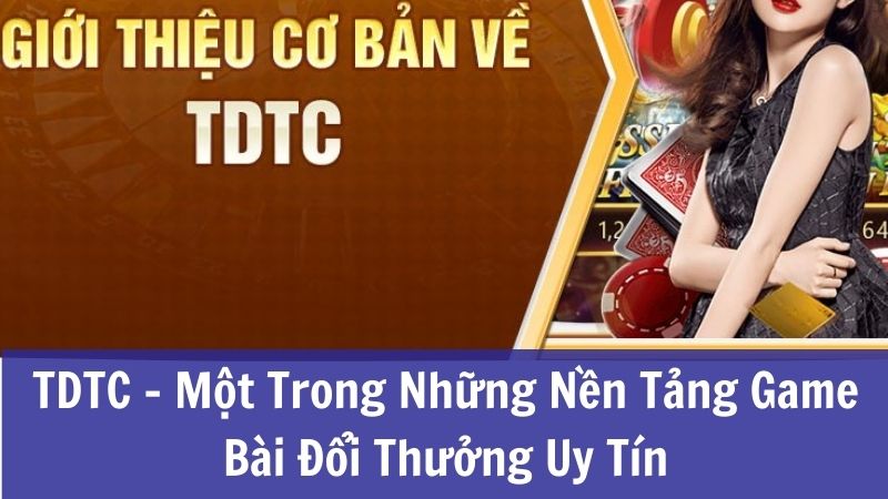 Những điểm nổi bật của TDTC mà người chơi nên chú ý